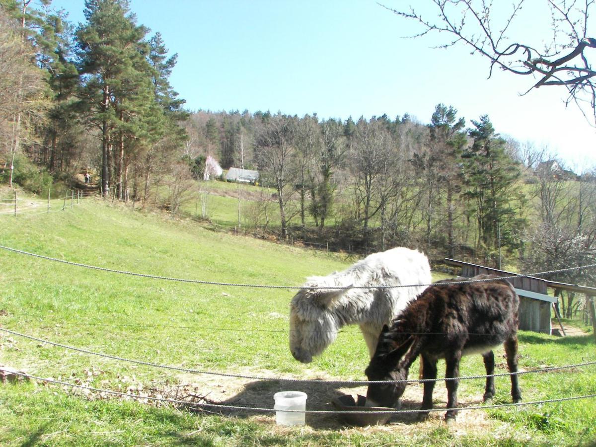 Hotel Au Vieux Moulin Lapoutroie Dış mekan fotoğraf