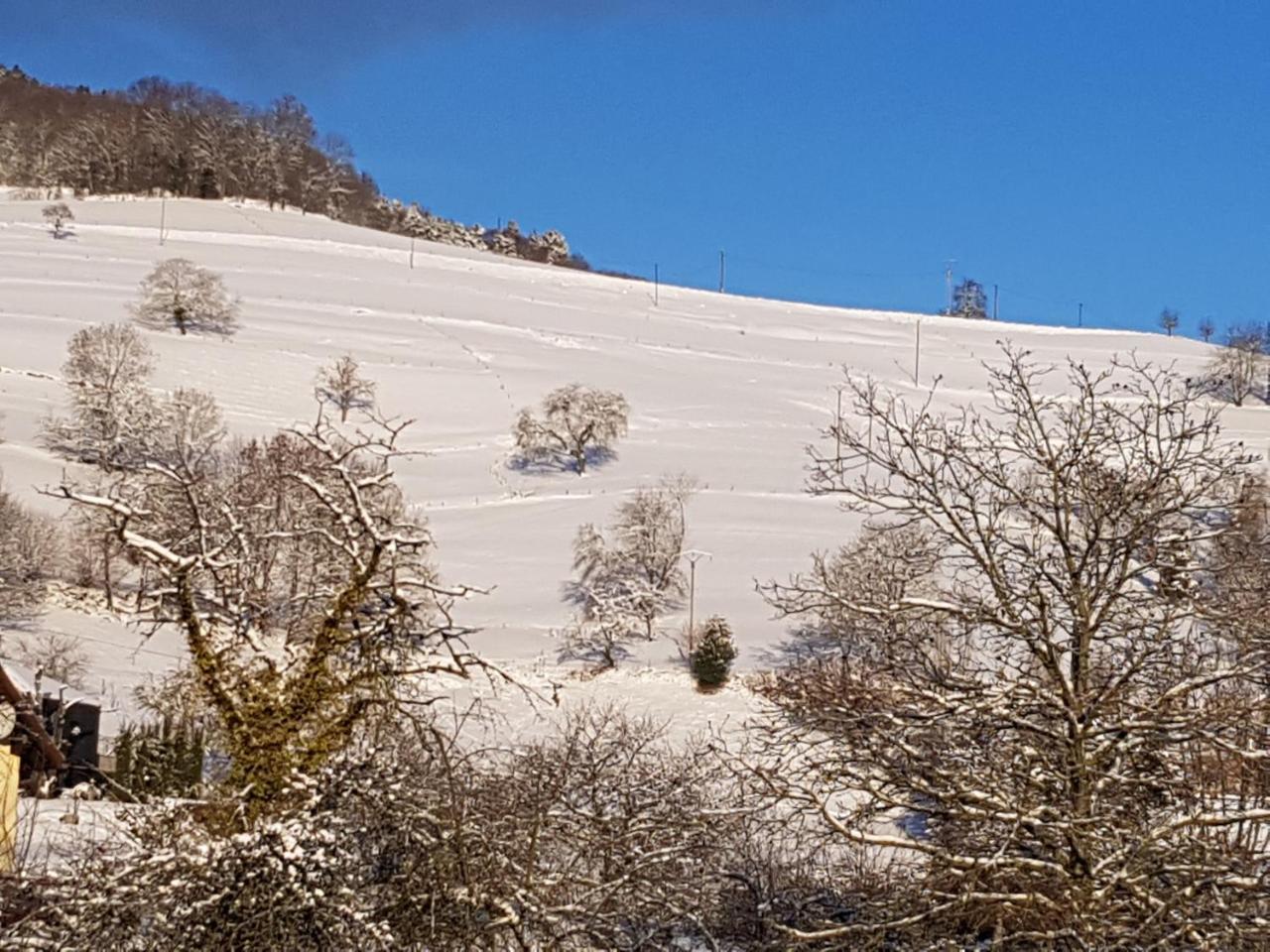 Hotel Au Vieux Moulin Lapoutroie Dış mekan fotoğraf
